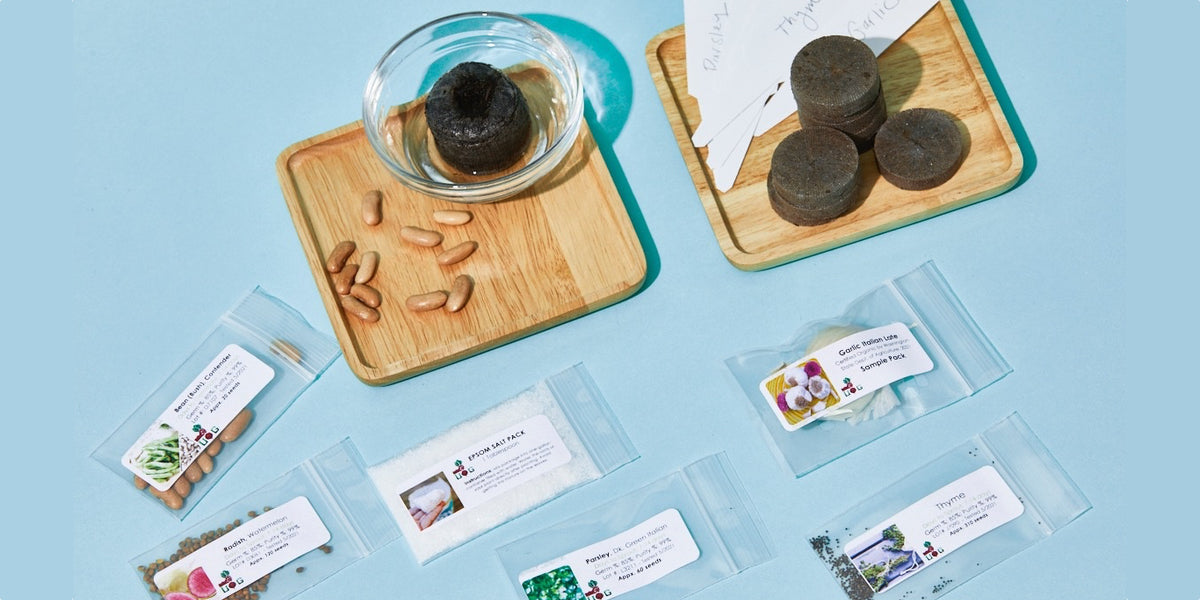 *NEW* Seeds-of-the-Month! | A Premium Monthly Seed Club Subscription