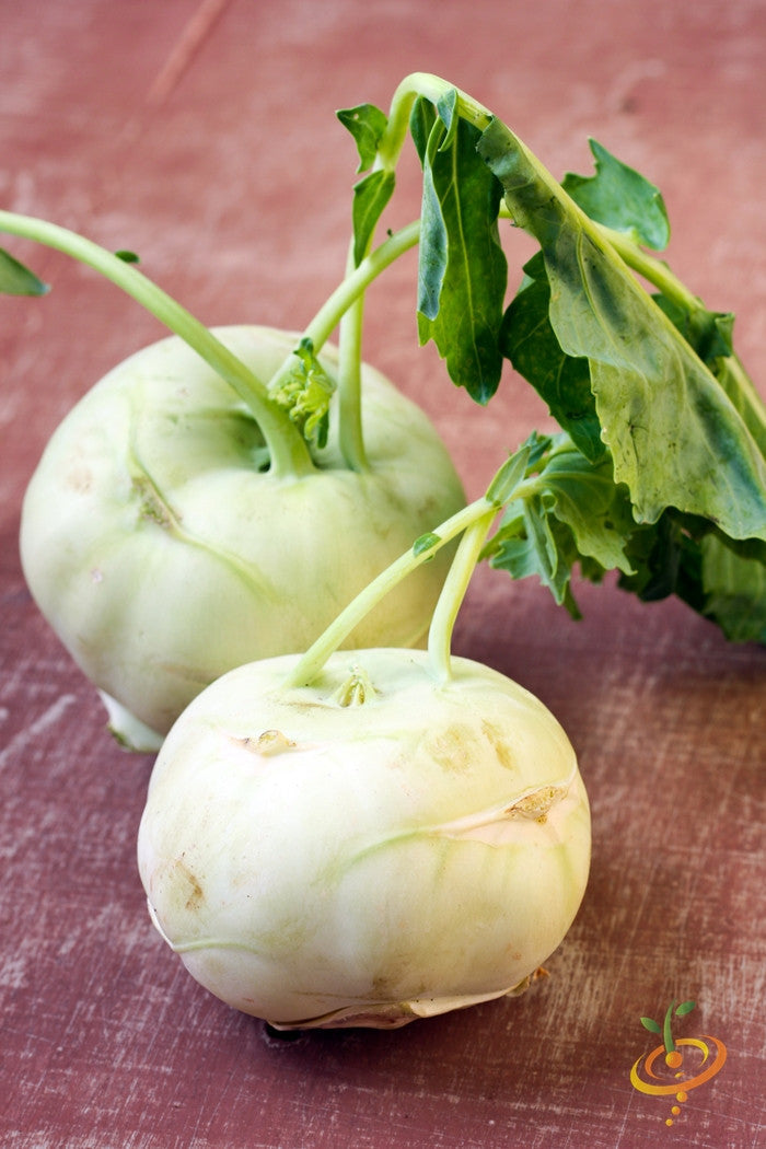 White Kohlrabi Delicatesse bulbs with green leaves on wooden surface