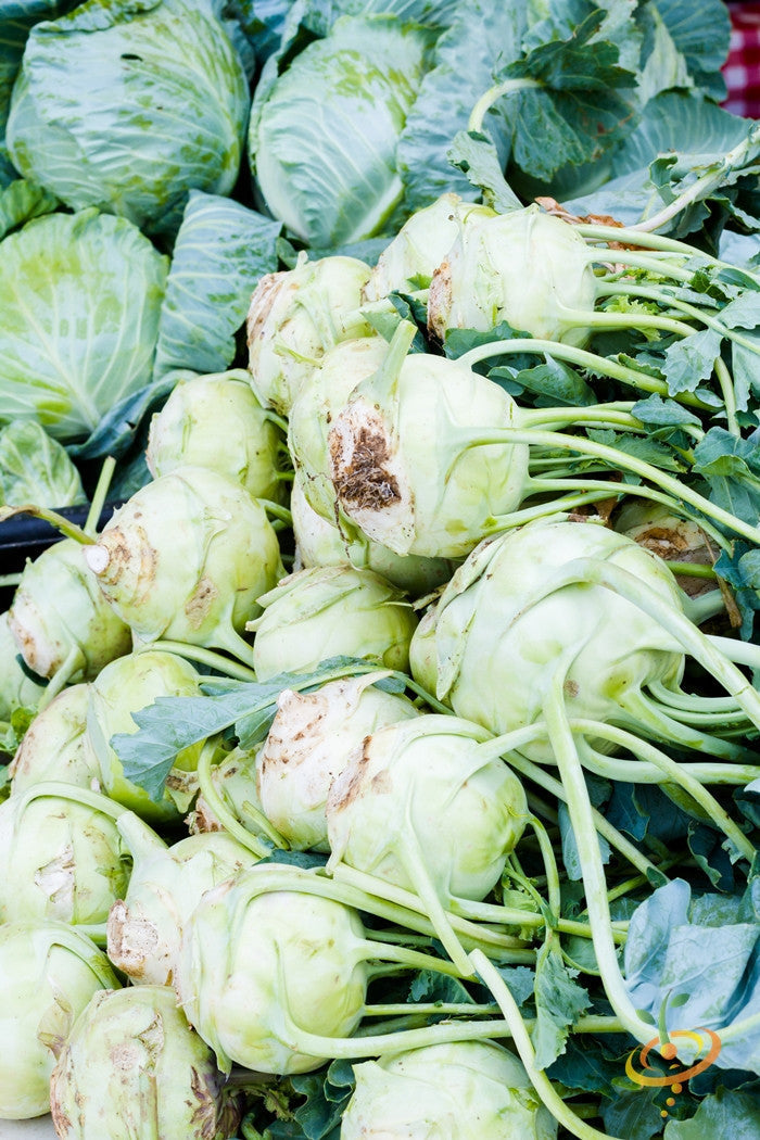 Fresh Kohlrabi Delicatesse bulbs with leaves and cabbage heads in background