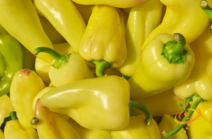 Yellow jalapeño hot pepper seeds from SeedsNow, shown in a close-up image highlighting the seeds and vibrant yellow color.