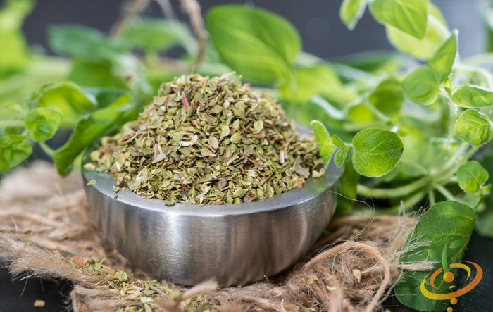 Close-up of dried oregano leaves in a metal bowl with fresh oregano herb in the background, representing Italian oregano seeds
