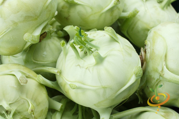 Close-up of fresh white Kohlrabi Delicatesse bulbs with stems and leaves