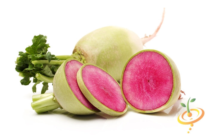 Fresh watermelon seed radishes from SeedsNow, showcasing vibrant green leaves and round, red radish roots.