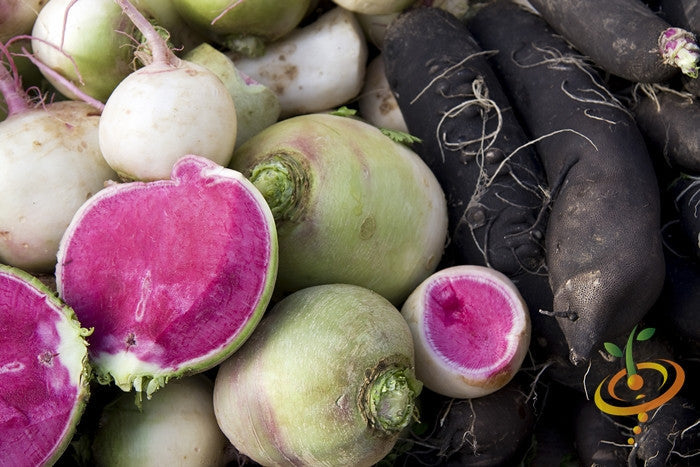 Watermelon radish seeds from SeedsNow, showing vibrant, round radish seeds on a white background.