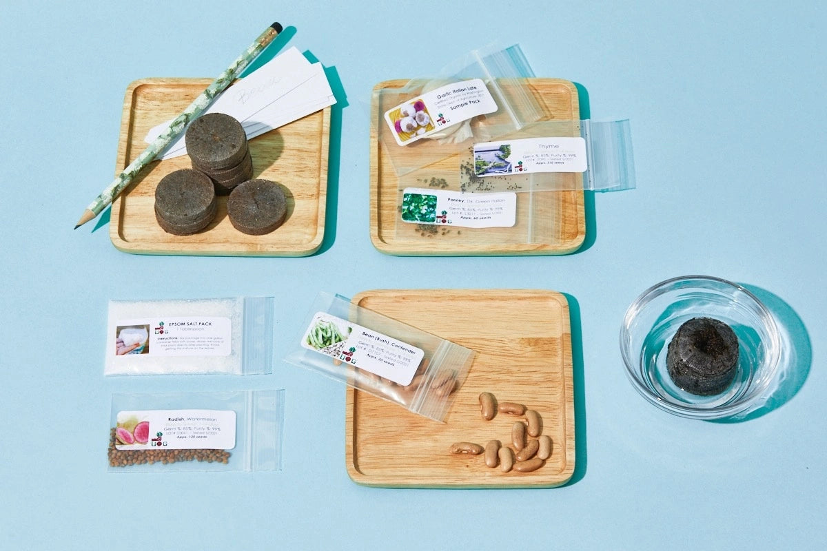 *NEW* Seeds-of-the-Month! | A Premium Monthly Seed Club Subscription