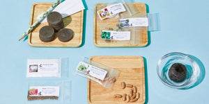 *NEW* Seeds-of-the-Month! | A Premium Monthly Seed Club Subscription