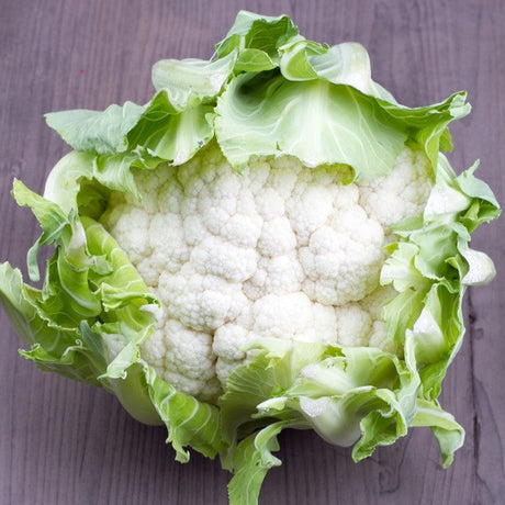 Cauliflower - Igloo - SeedsNow.com