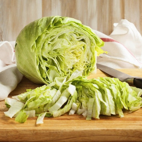 Lettuce - Iceberg - SeedsNow.com