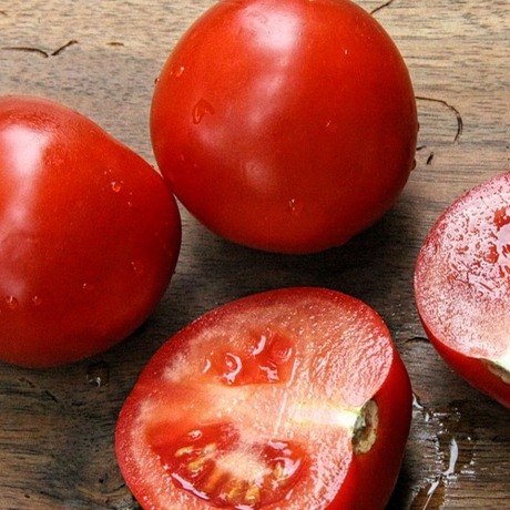 Tomato - Marion (Indeterminate) - SeedsNow.com