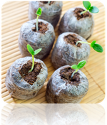 Free All-in-One Seed Starter Kit with soil and planting supplies for gardening beginners.